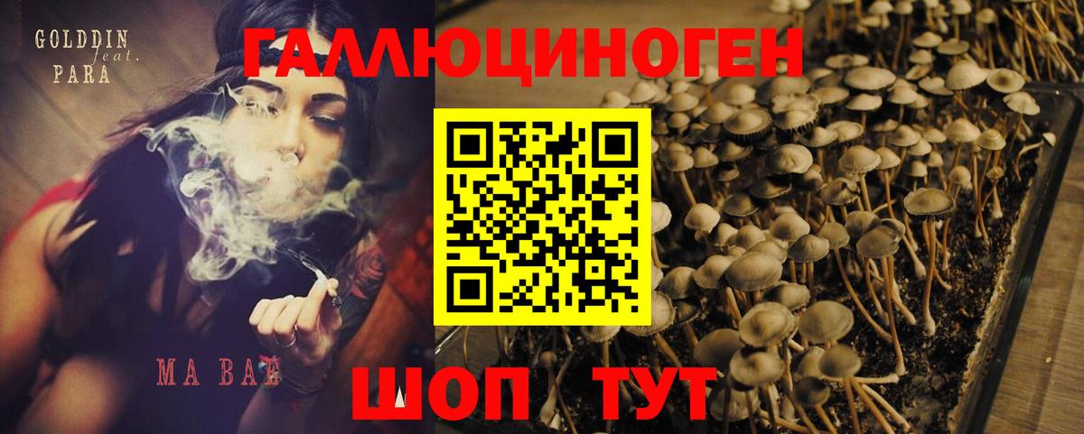 Сызрань  Галлюциногенные грибы GOLDEN TEACHER  Вход с VPN 